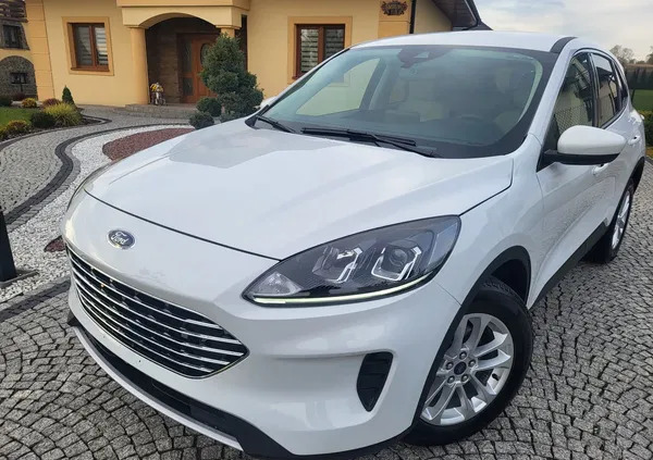 małopolskie Ford Kuga cena 81900 przebieg: 28000, rok produkcji 2021 z Tarnów